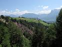 Tirol (177)